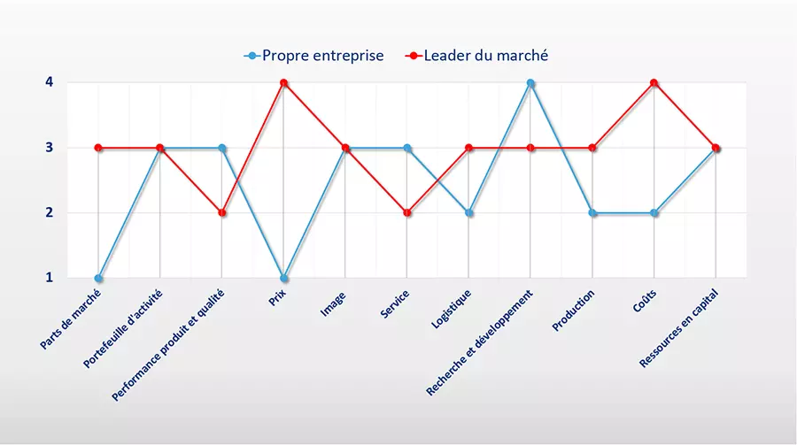 Exemple d’un profil forces-faiblesses