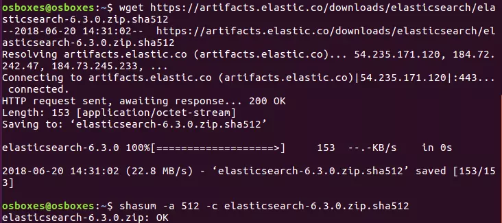 Capture d’écran de la console à l’installation d’Elasticsearch