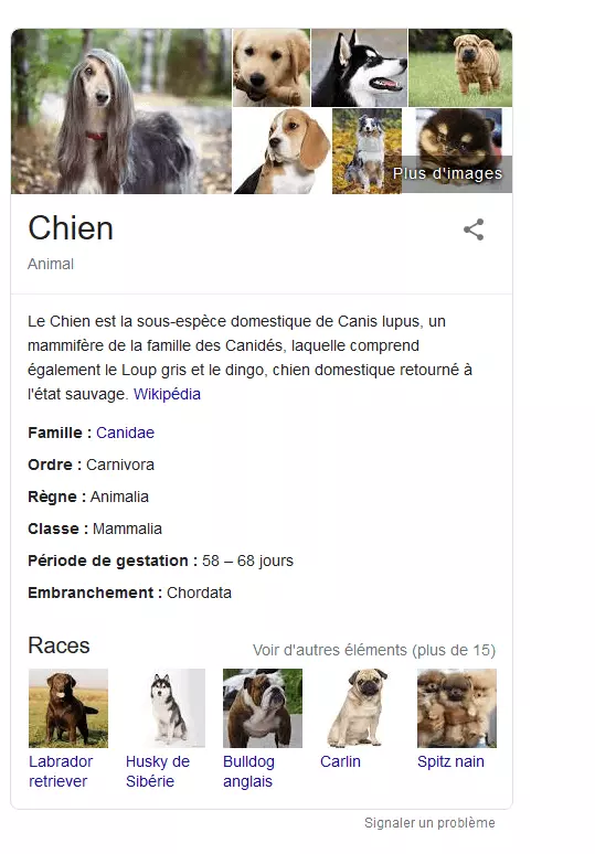 Knowledge Panel du Knowledge Graph