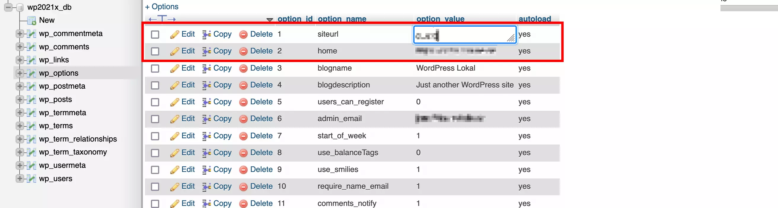 wp_options dans la base de données WordPress