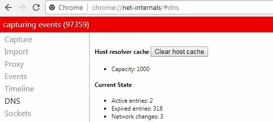 Google Chrome : menu « Net Internals ».