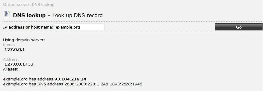 « DNS lookup » sur ping.eu