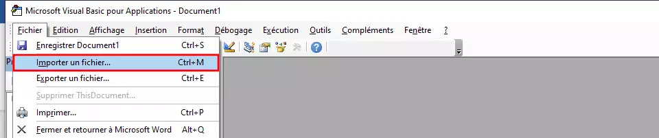 Option « Importer un fichier » dans l’éditeur Visual Basic 