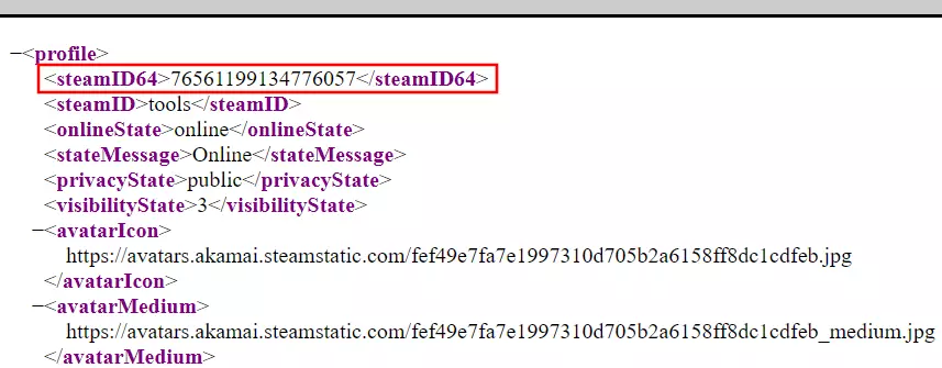 Fichier XML du profil Steam dans le navigateur