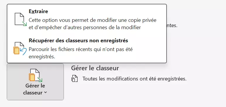 Excel : gérer le classeur