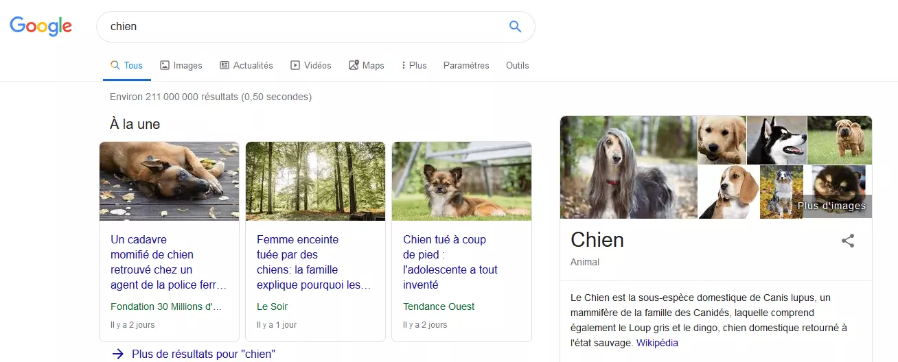 Google Knowledge Graph concernant la recherche « chien »