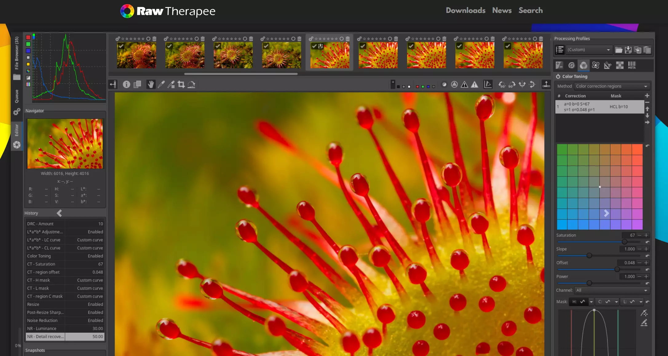 Raw Therapee : capture d’écran du site Web