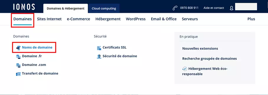 Site Web de IONOS : menu « Domaines »