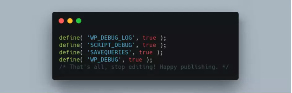 Capture d’écran du plugin WP Debugging