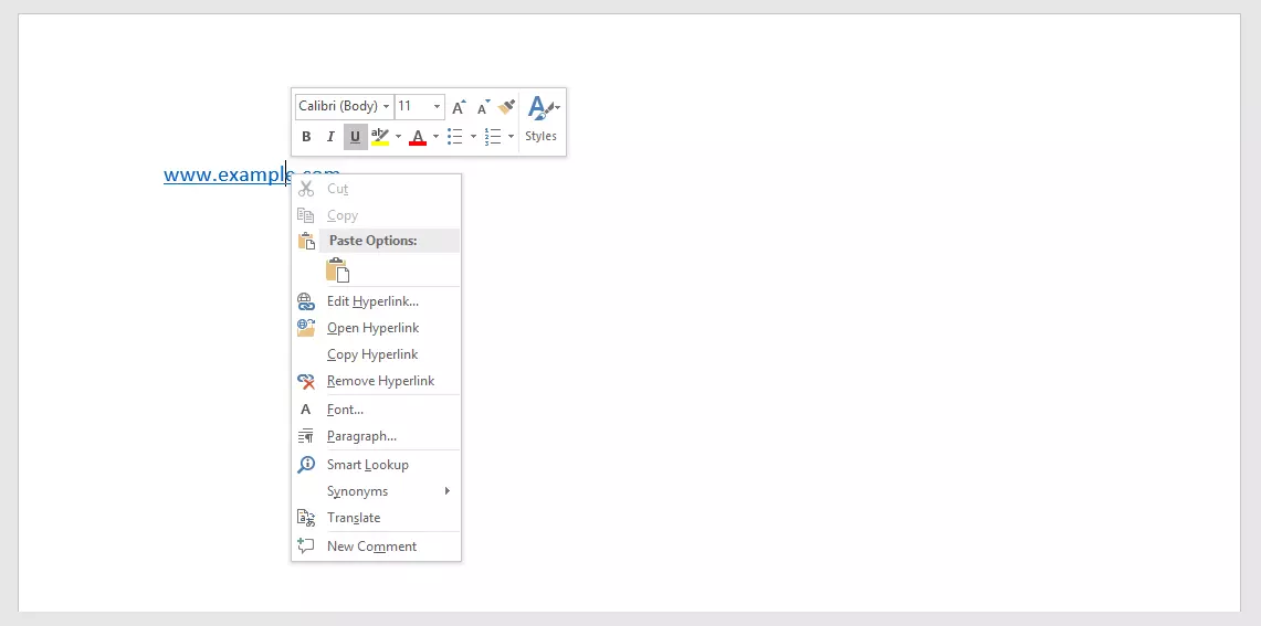 Document Microsoft Word avec lien hypertexte à supprimer