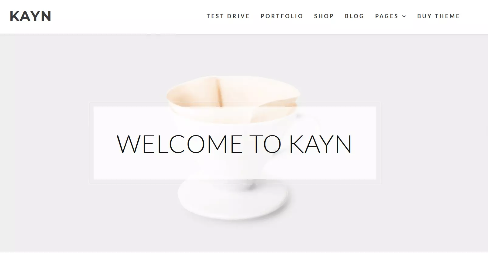 Le template WordPress Kayn par WP-Royal