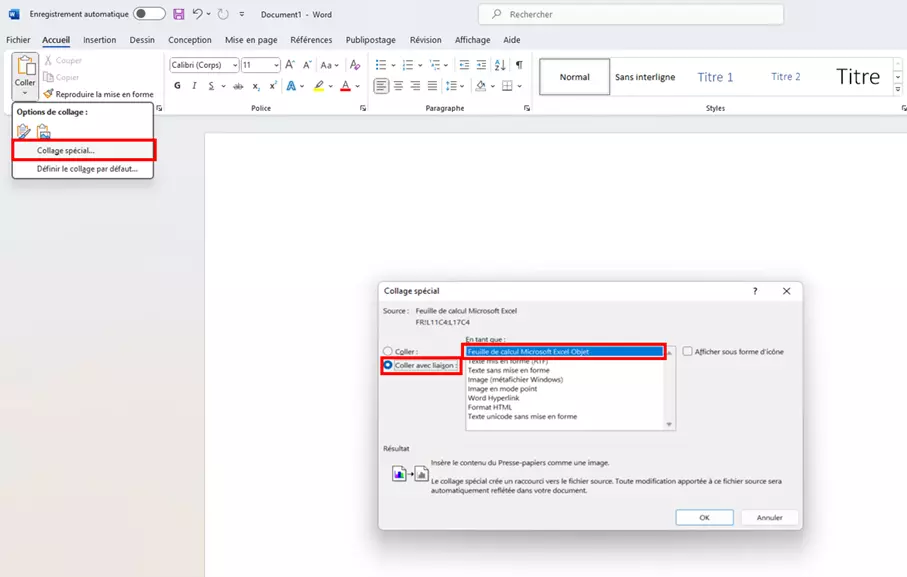 Option « Collage spécial… » dans Word