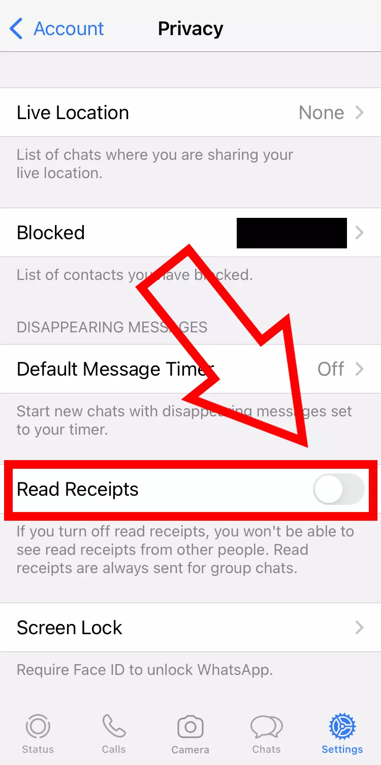 Capture d’écran iPhone de la partie « Confidentialité » de WhatsApp avec l’option de confirmation de lecture désactivée