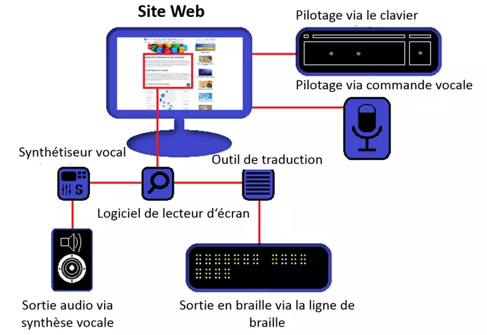 Vue d'ensemble du poste de travail pour les non-voyants : commande, lecteur d'écran, sortie audio et sortie braille