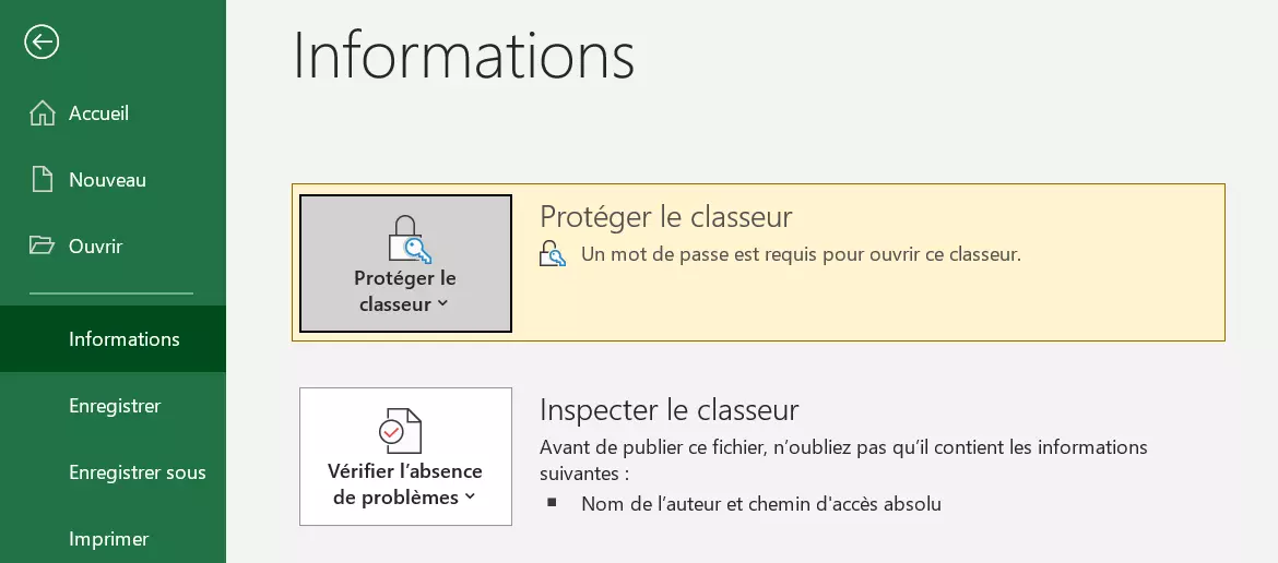 Affichage dans la section Informations lorsque le classeur est protégé