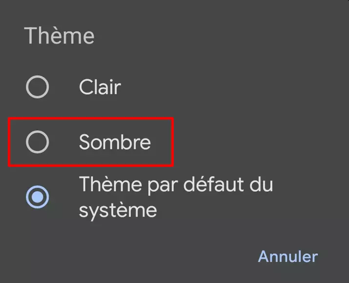 Menu « Thème », avec les différents niveaux de luminosité disponibles