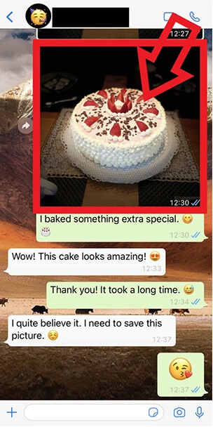 Capture d’écran iPhone d’une discussion WhatsApp contenant une photo de gâteau.