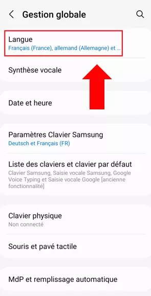 Menu « Langue » proposant les différentes langues disponibles pour l’appareil