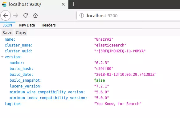 Affichage des informations d’Elasticsearch sur le localhost