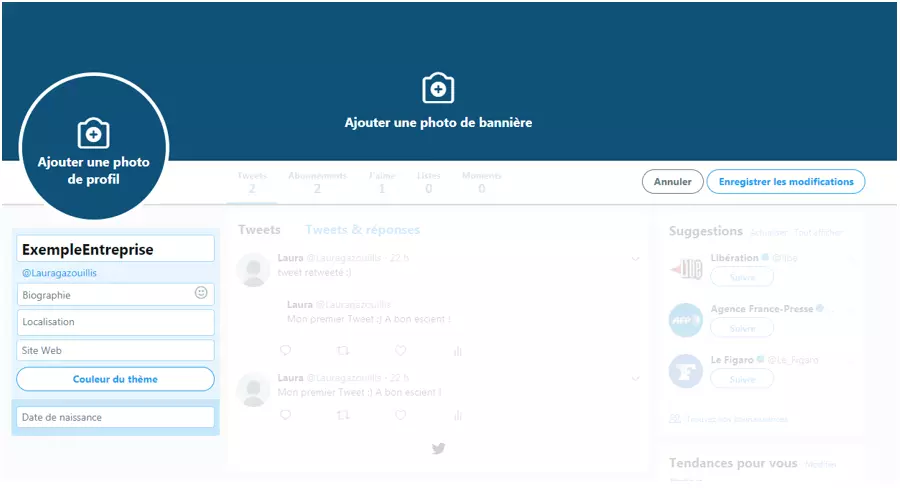 Capture d'écran de Twitter pour éditer votre profil professionnel Twitter.