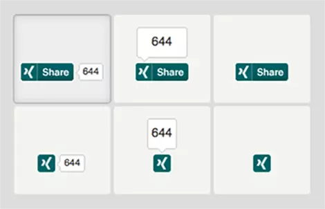 Le bouton Share on Xing selon différentes représentations.