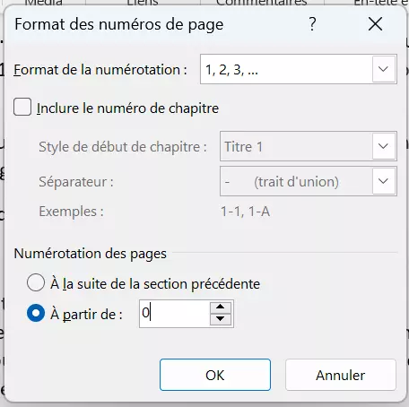 Menu « Format des numéros de page… » dans Word