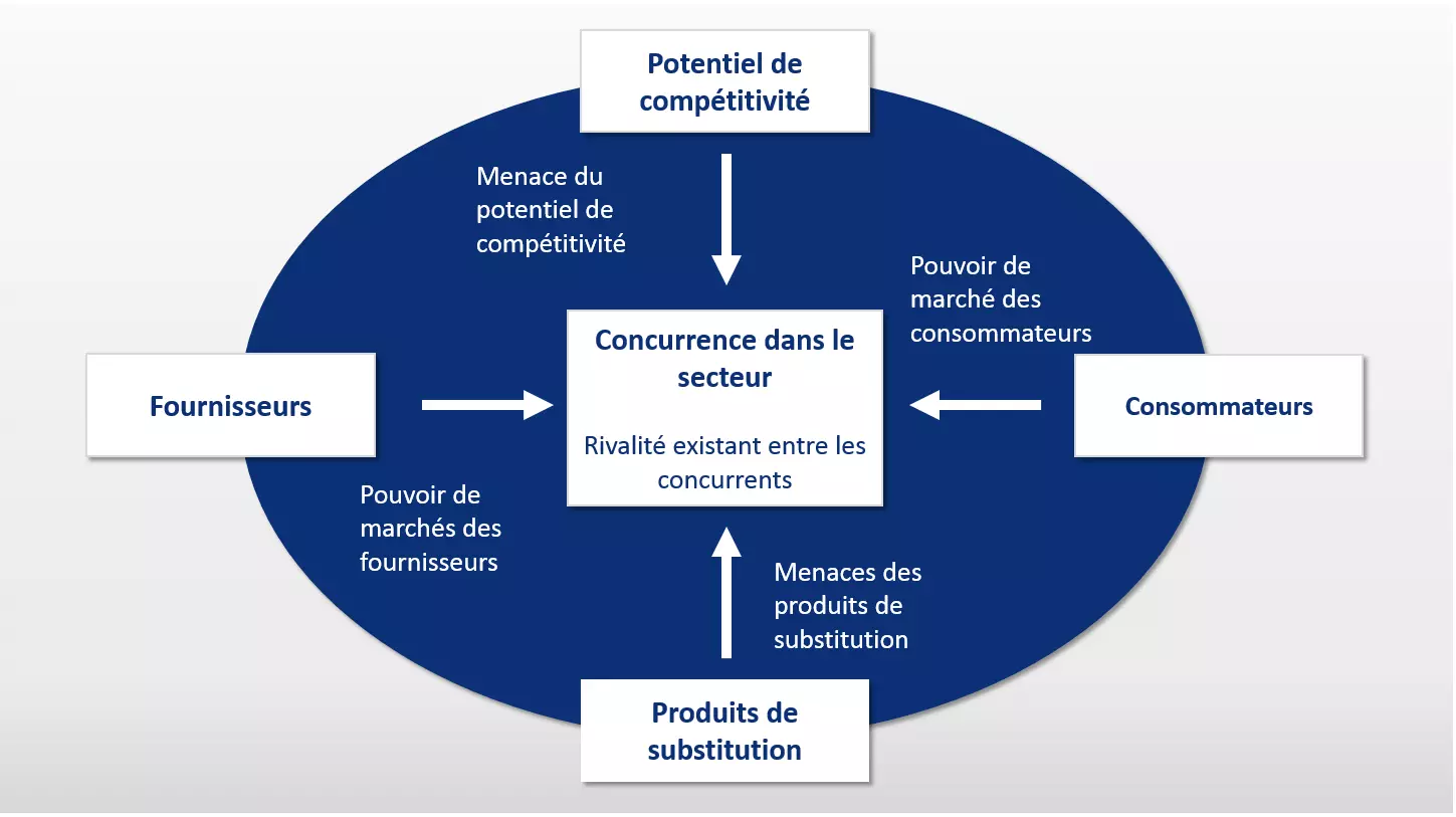 Représentation schématique du modèle à cinq forces d’après Michael E. Porter