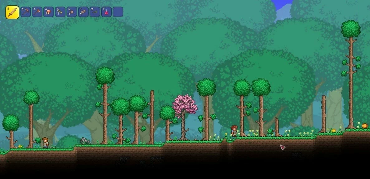 Scène de jeu dans Terraria