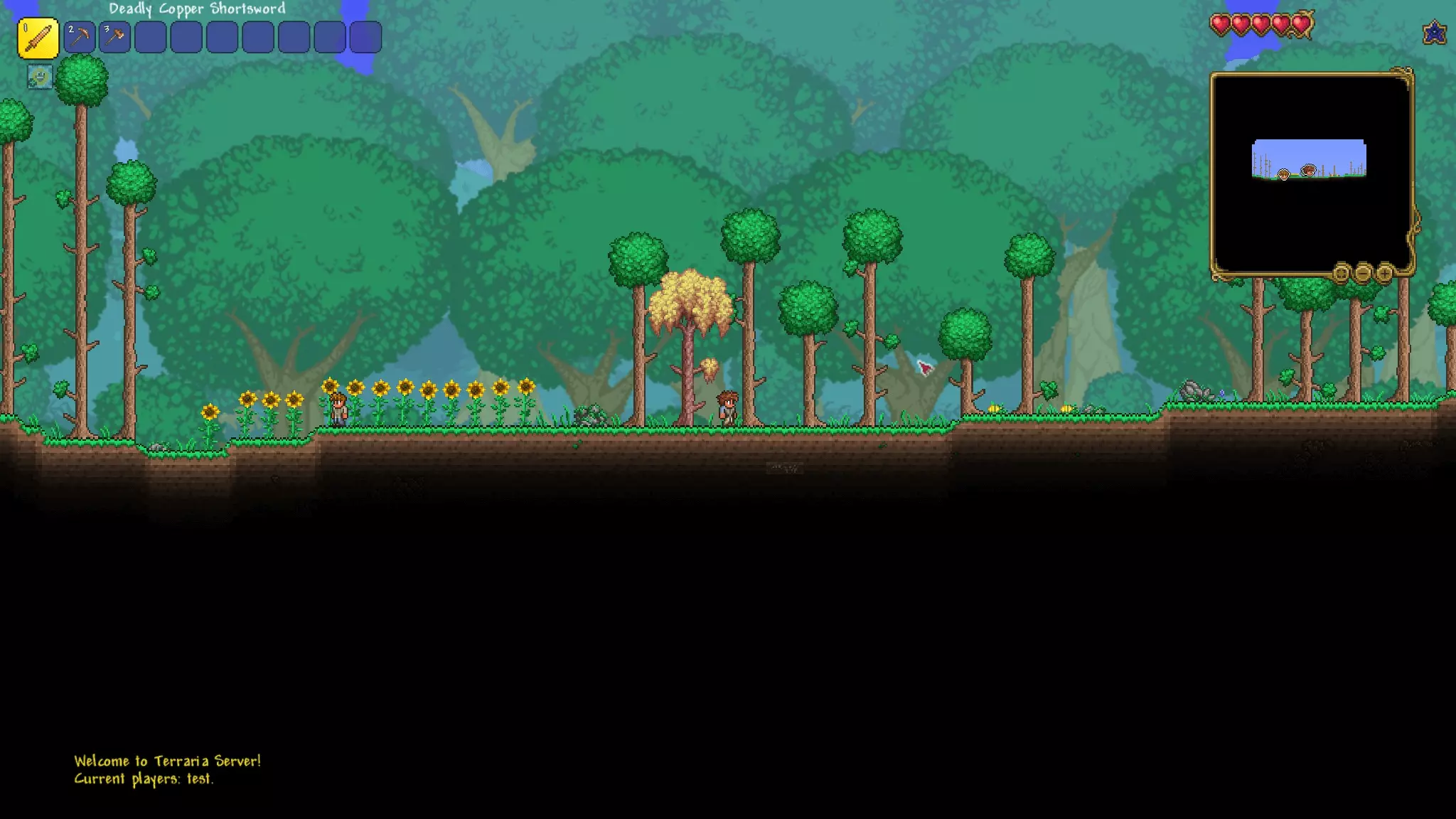 Capture d’écran de Terraria