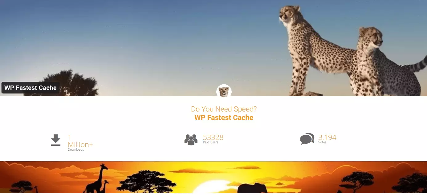 Capture d’écran du site Internet WP Fastest Cache