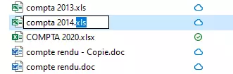 Fichiers Excel organisés en liste - pour l’un d’eux, le champ de nom a été ouvert afin de modifier l’extension
