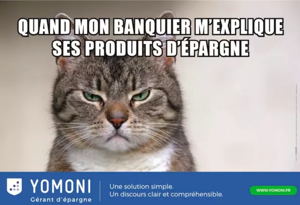 Publicité Yomoni utilisant un mème de chat viral