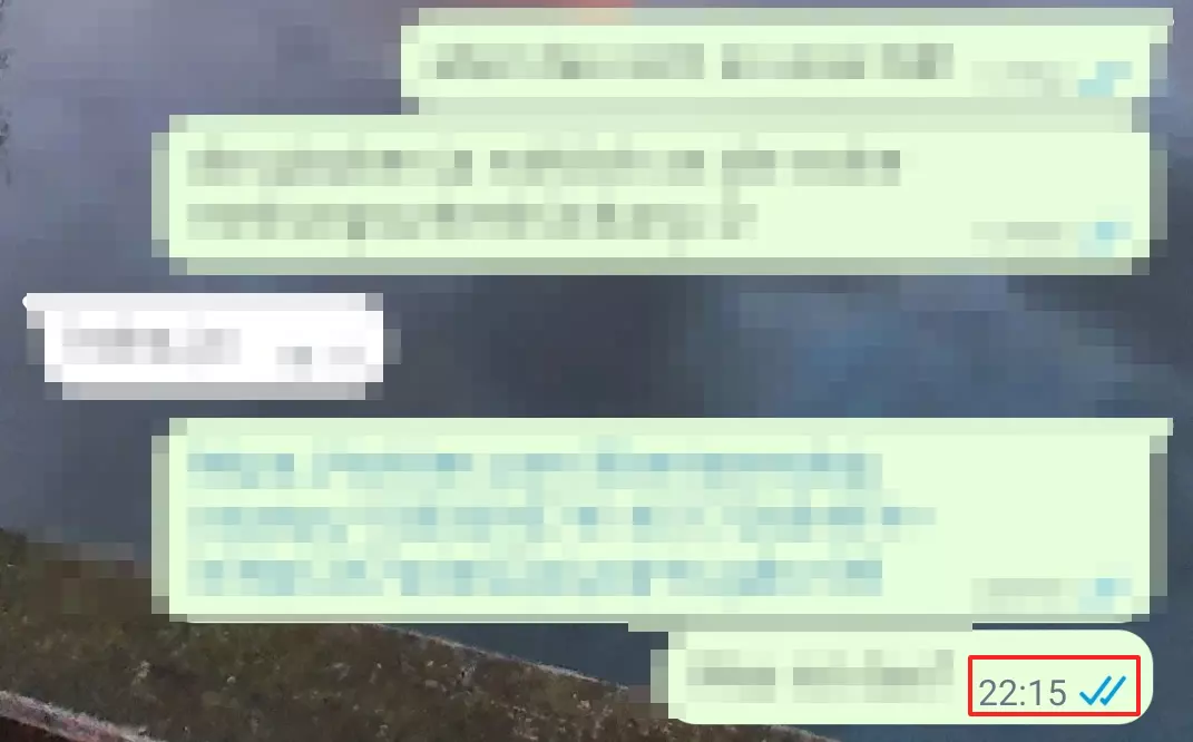 Capture d’écran de statut de distribution d’un message dans WhatsApp