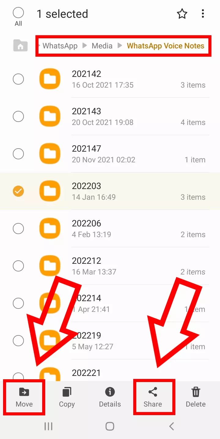 Capture d’écran du dossier « WhatsApp Voice Notes » d’Android, avec les options « Déplacer » et « Partager »