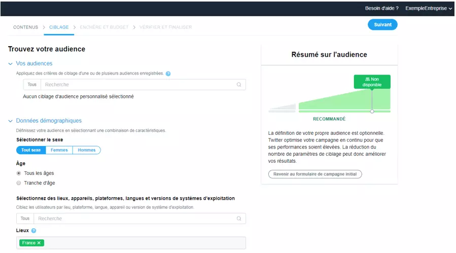 « Trouvez votre audience » sur Twitter ads permet de bien définir la cible de sa publicité.