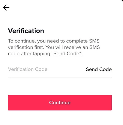 Supprimer TikTok : masque de saisie du code de confirmation