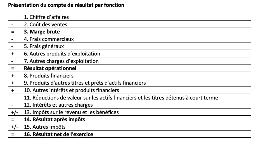 modele-de-presentation-de-compte-de-resultat-par-fonction.png