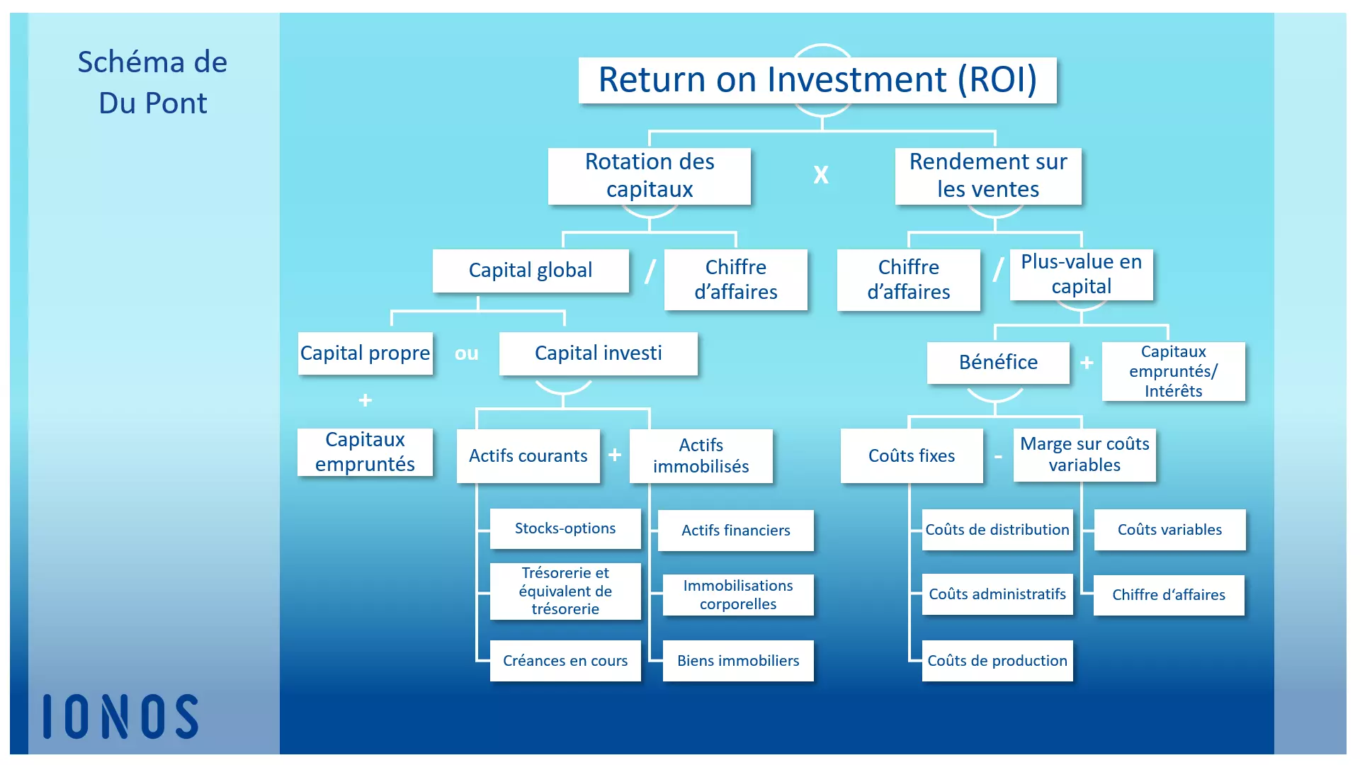 roi-FR-6.png