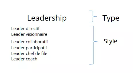 FR-styles-de-leadership.png