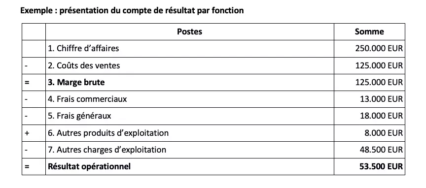 exemple-de-presentation-du-compte-de-resultat-par-fonction.png