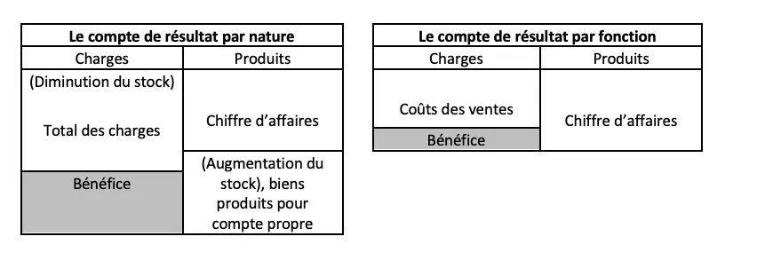 compte-de-resultat-par-nature-et-par-fonction.png